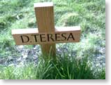 D. Teresa's Cross